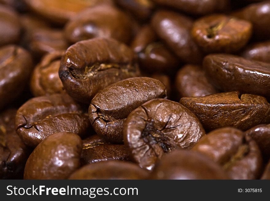 Coffee Beans Closeup