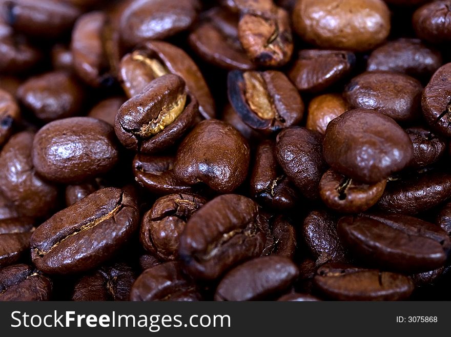 Coffee beans macro close up. Coffee beans macro close up