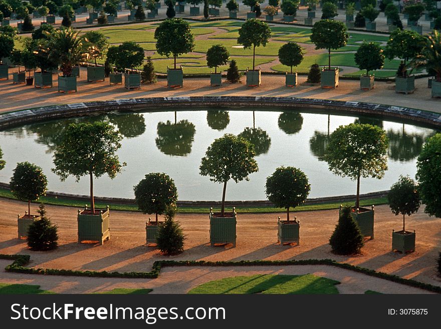 Trees and a little lake in a park. Trees and a little lake in a park