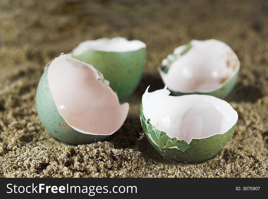 Empty Eggs Free Stock Images & Photos 3075907