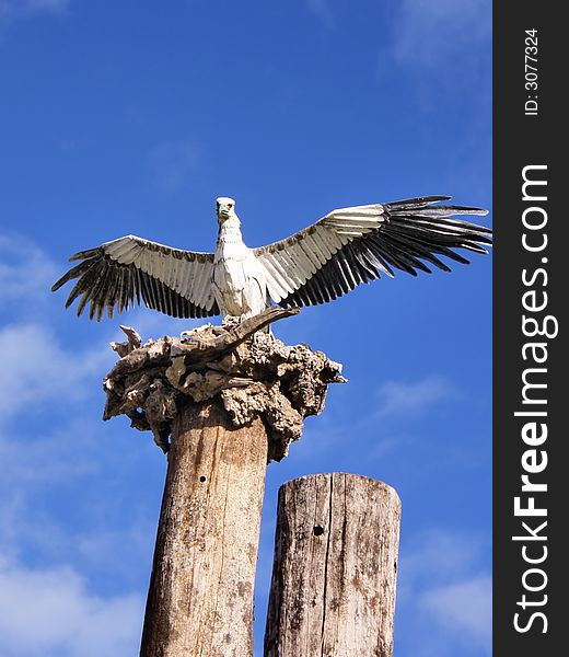 Hawk Statue At The Beach. Hawk Statue At The Beach