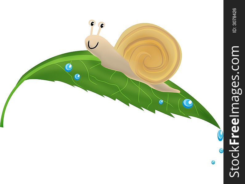 The cute snail with leaf