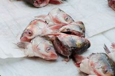 Head Of Fish Stock Photography Head Of Fish Stock Photography