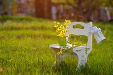 Garden In The Sunset Light Stock Image Garden In The Sunset Light Stock Image