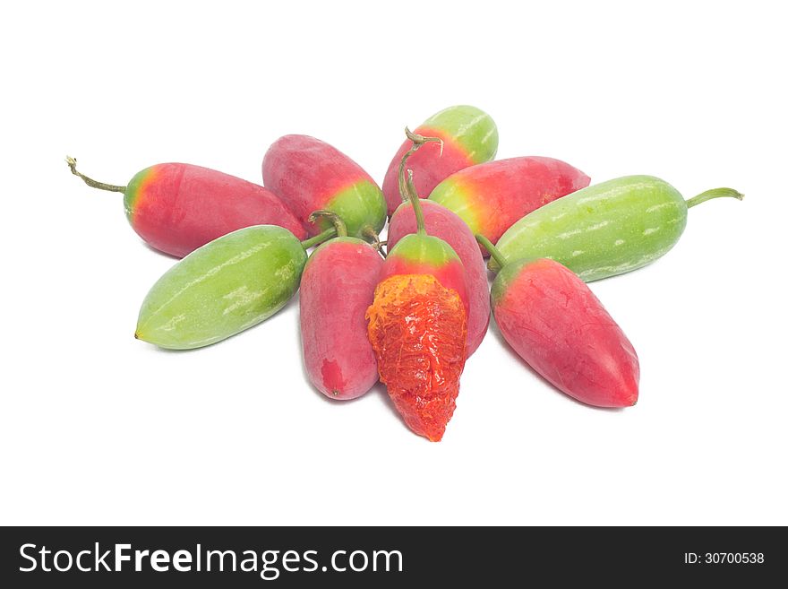 Ivy gourd fruit or Coccina Grandis isolated on white background