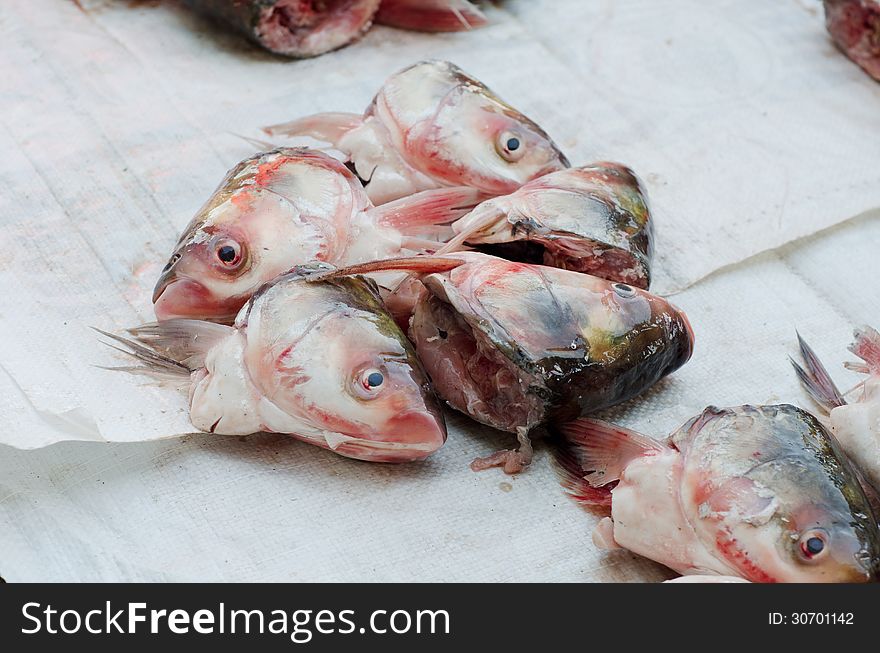 Head of fish for sale in local market, thailand