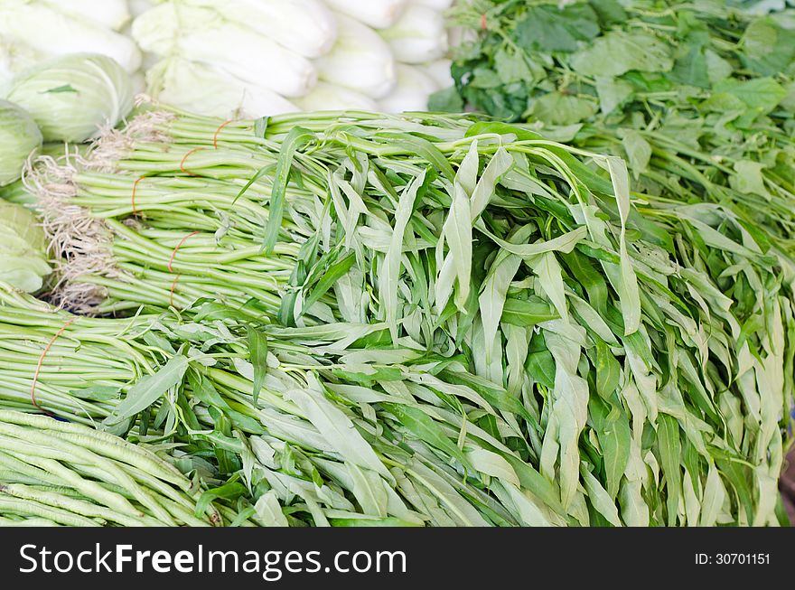 Bundle of water convolvulus for sold in market