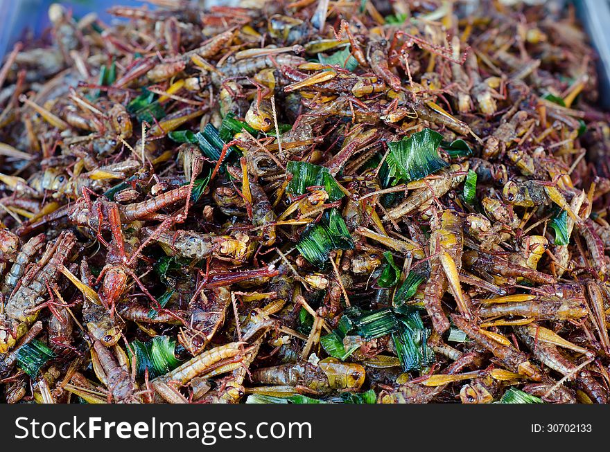 A pile of deep fried grasshoppers - a snack often used in Asia