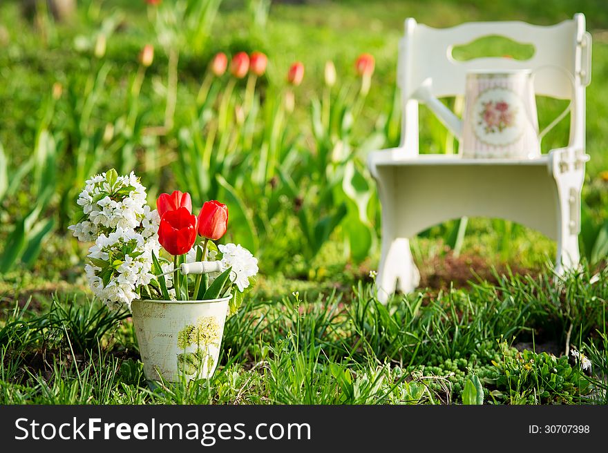 White wooden chair with vintage watering can on it in the background, a bucket with spring flowers in the foreground. White wooden chair with vintage watering can on it in the background, a bucket with spring flowers in the foreground