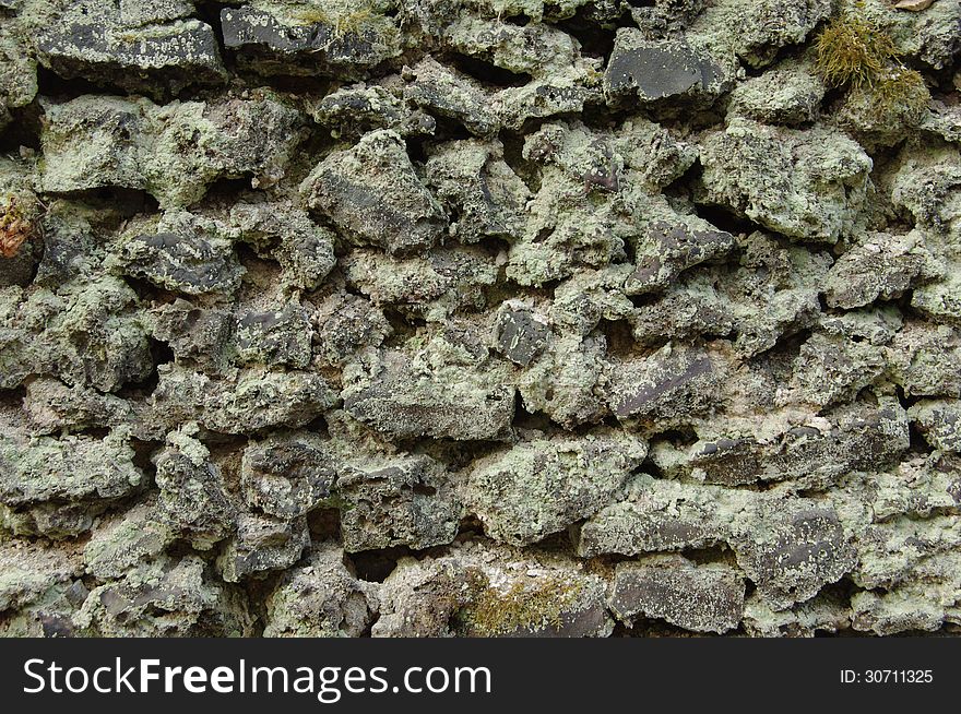 The photograph shows an old moss-covered wall, made of gray stones. The photograph shows an old moss-covered wall, made of gray stones.