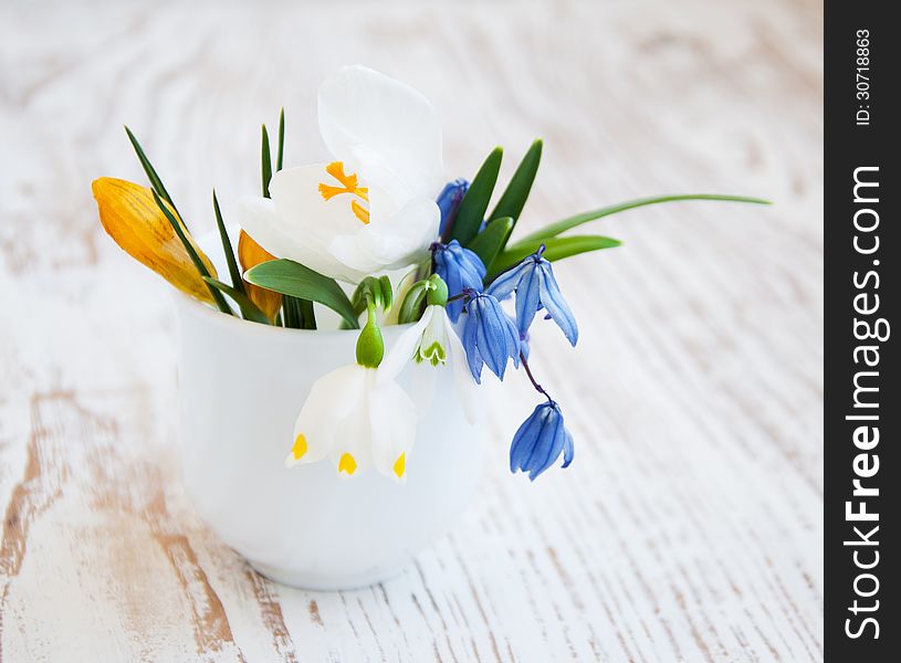 Snowdrop and crocus spring flowers in vase