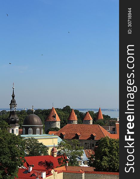 View of Tallinn's Old Town from up on high. View of Tallinn's Old Town from up on high