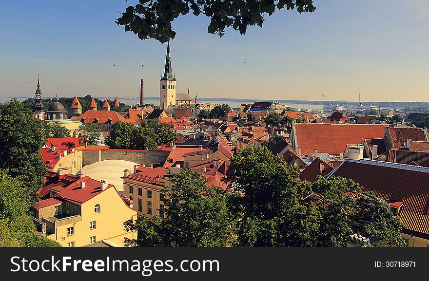 View of Tallinn's Old Town from up on high. View of Tallinn's Old Town from up on high