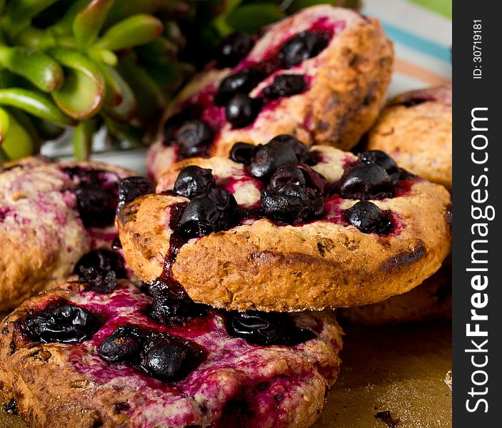 Homemade oatmeal cookies fresh out of the oven with blackberry, closeup. Homemade oatmeal cookies fresh out of the oven with blackberry, closeup