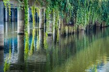 Reflected Pillars And Plants Royalty Free Stock Photography