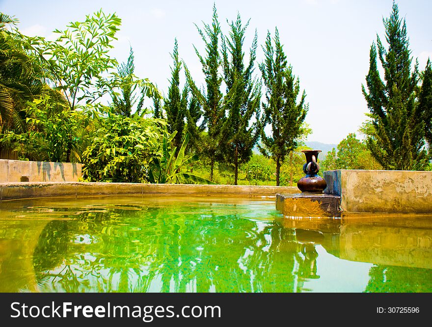 Exotic botanical garden in the North of Thailand