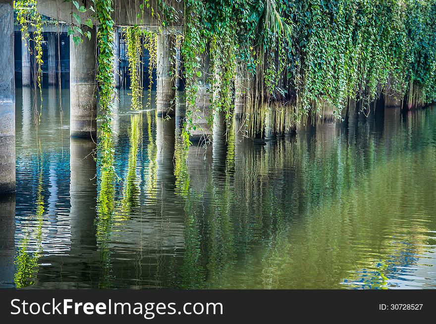 Perspective view of reflected pillars and plants in a small lake.