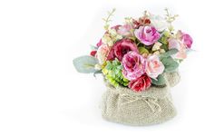 Plastic Flower Stock Images Plastic Flower Stock Images