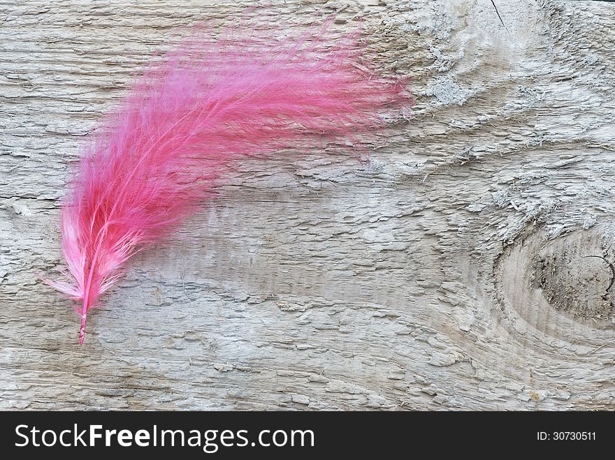 Red fluffy feather on untreated wooden board. Red fluffy feather on untreated wooden board