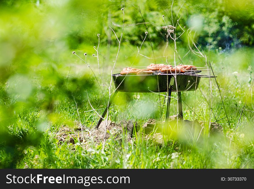 Barbecue Grill on green summer grass