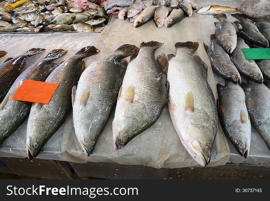 Variety of fresh fish seafood in market, chonburi, thailand