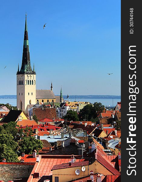 View of Tallinn's Old Town from up on high. View of Tallinn's Old Town from up on high