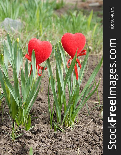 Two Hearts In The Foliage.