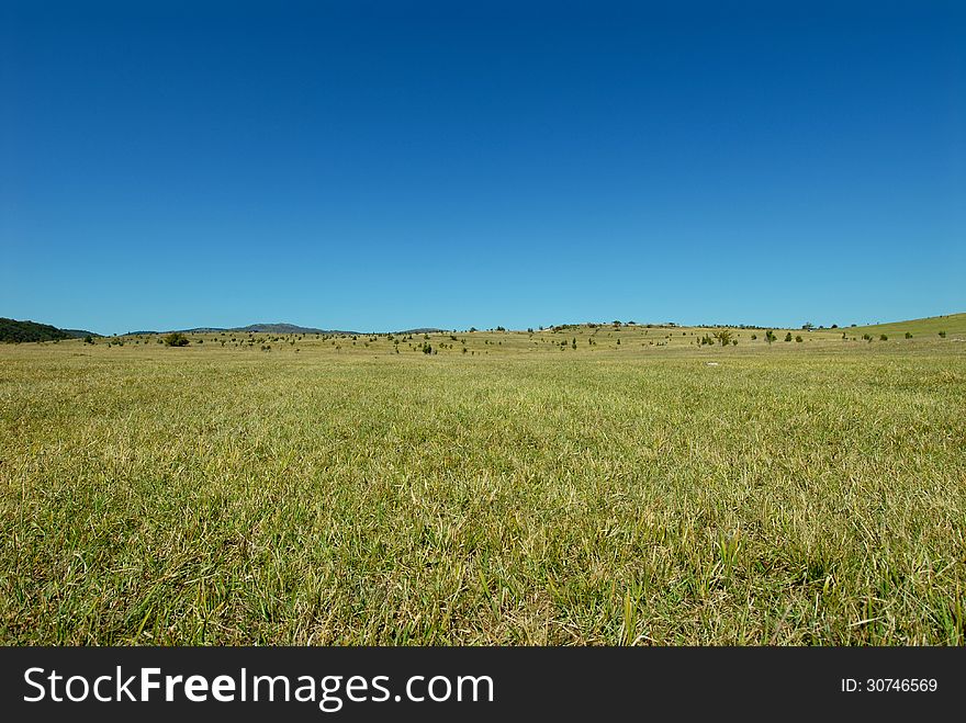 Summer natural landscape with green field. Summer natural landscape with green field