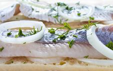 Sandwiches With Herring, Onions And Herbs Stock Image Sandwiches With Herring, Onions And Herbs Stock Image