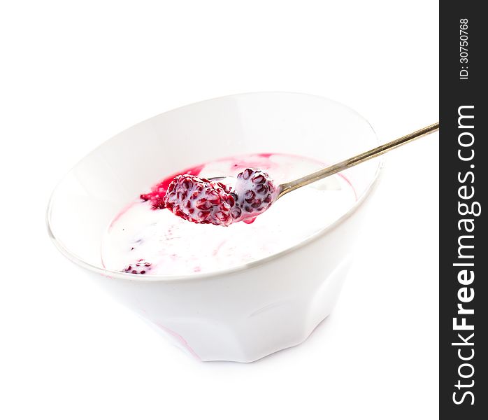 Fresh Yogurt With  Blackberry In A White Bowl Isolated