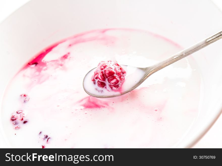 Fresh yogurt with  blackberry in a white bowl, closeup