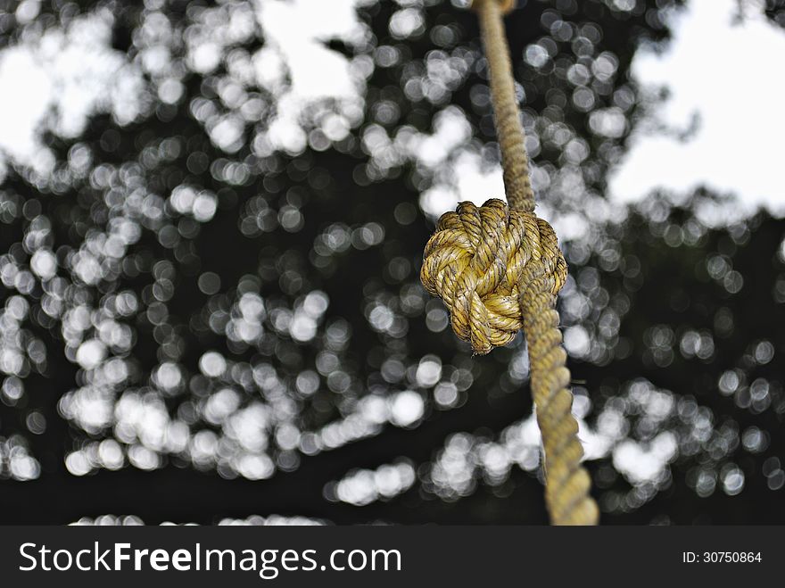 Yellow rope with big knot tied in it hanging from tree. Yellow rope with big knot tied in it hanging from tree.
