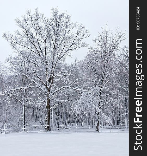 Snowy landscape rural scene in northern Wisconsin.