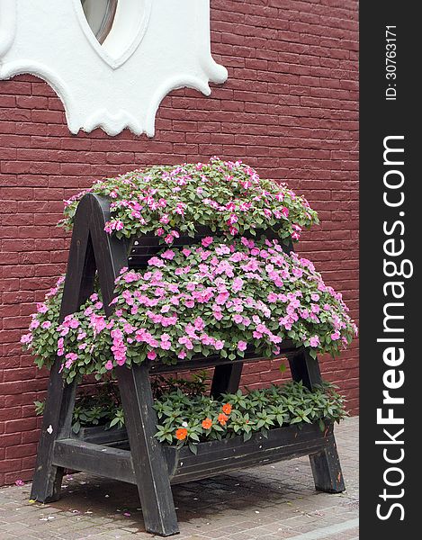 Beautiful potted flowers on wooden stand in front of red brick wall. Beautiful potted flowers on wooden stand in front of red brick wall.