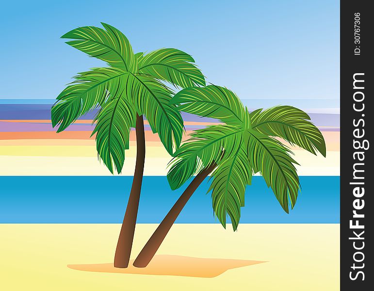 Palm trees on the beach. Palm trees on the beach