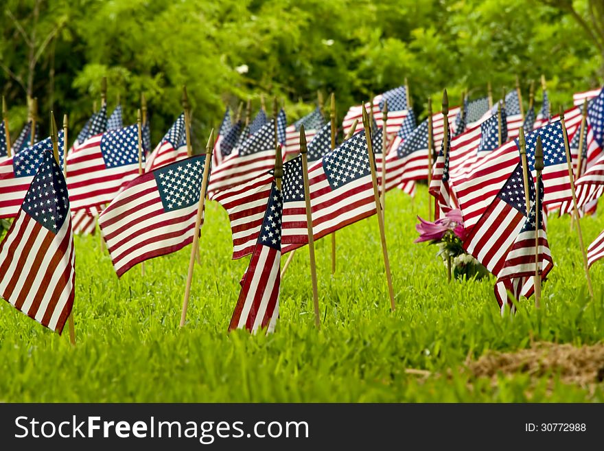 Small American flags at a cemetery