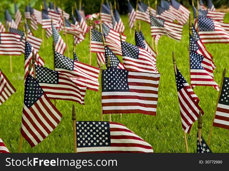 Small American flags at a cemetery
