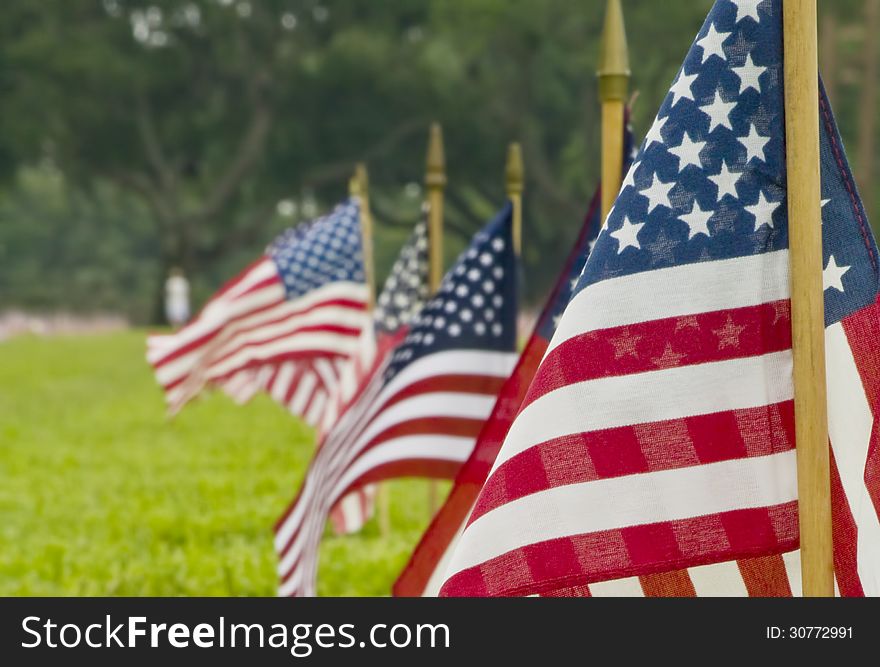 Small American flags at a cemetery