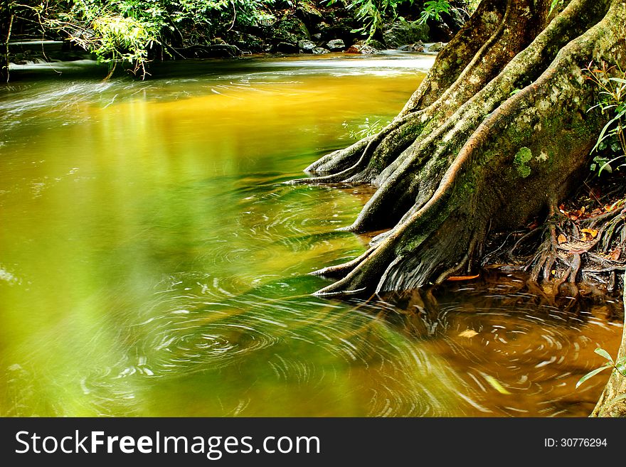 Beautiful of Stream rain forest in Khlonglan National Park Thailand