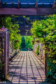 Garden Lattice Walkway With Stone Pavers And Vine Flowers Throug Stock Photos Garden Lattice Walkway With Stone Pavers And Vine Flowers Throug Stock Photos