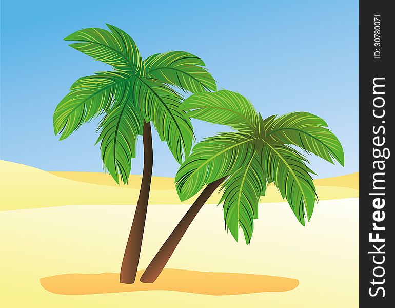 Palm trees in the desert. Palm trees in the desert