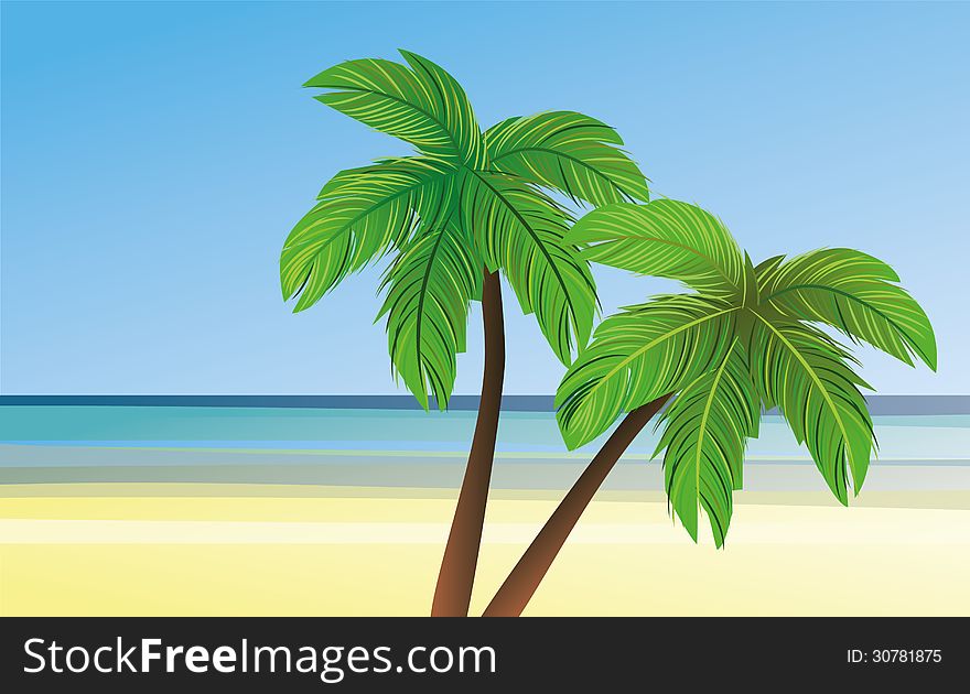 Palm trees in the beach. Palm trees in the beach