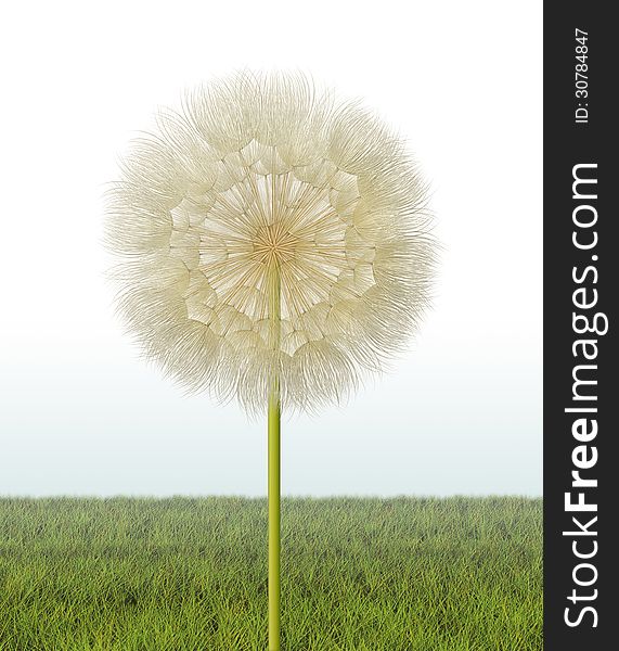 Digital illustration of a dandelion flower seed head. Digital illustration of a dandelion flower seed head.