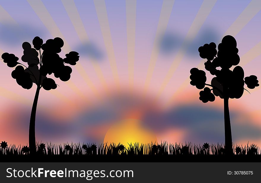 Sunset on the field with grass and trees