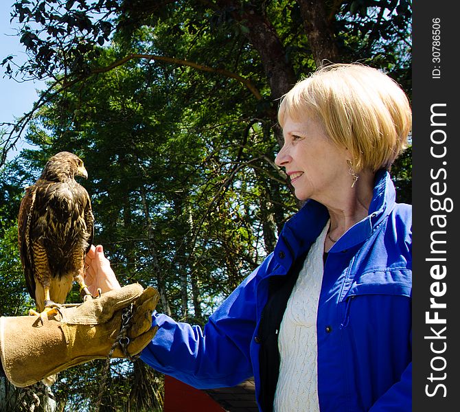 Close-up of a woman and a captive falcon at a wild bird sanctuary.