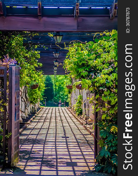 Garden Lattice walkway with stone pavers and vine flowers throughout the trellis work