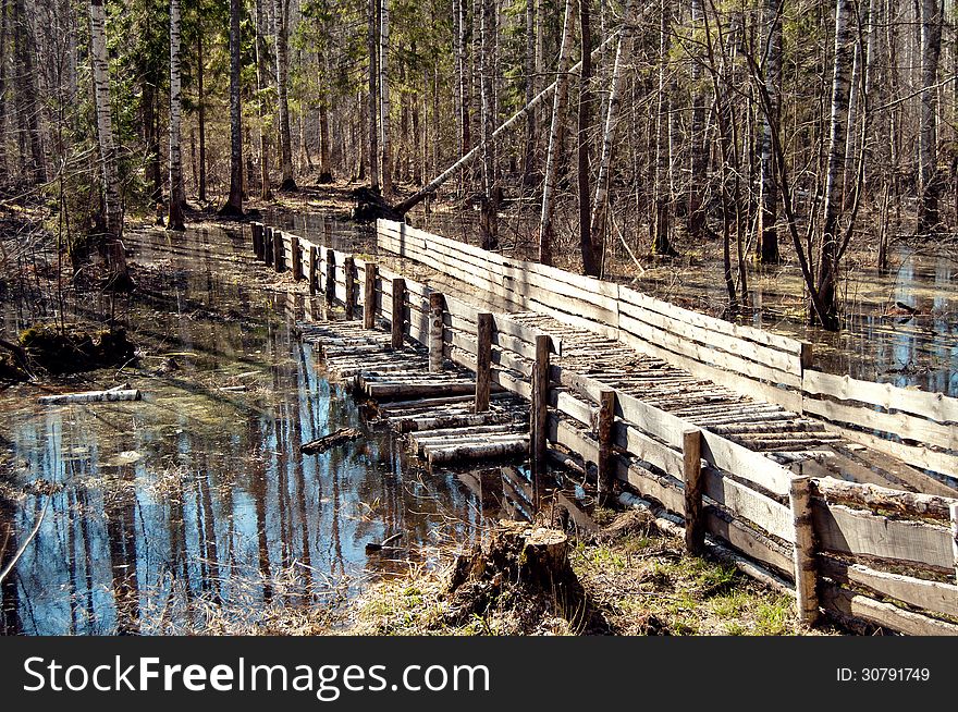 Russian landscape - spring flood in the forest