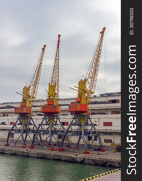 Cargo cranes in the industrial port