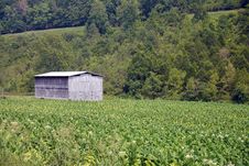Road Side Barn Stock Photos Road Side Barn Stock Photos