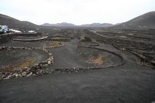 Volcanic Vineyard Royalty Free Stock Photo Volcanic Vineyard Royalty Free Stock Photo